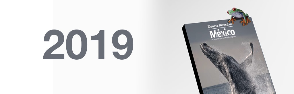 Libro 2019