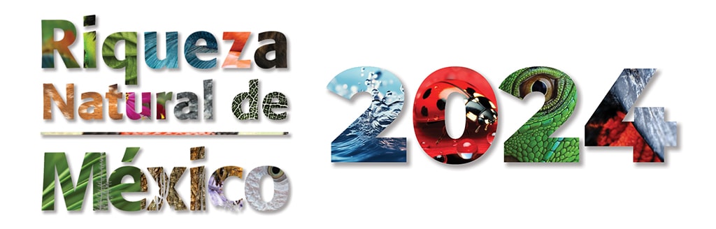 Libro 2024